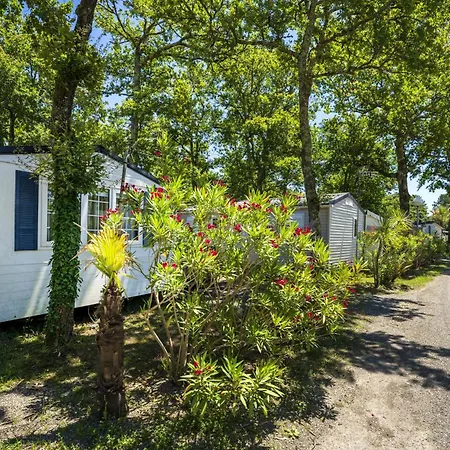 Mobilhome 4*